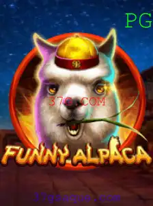Descubra o mundo emocionante de FunnyAlpaca com 37G.COM